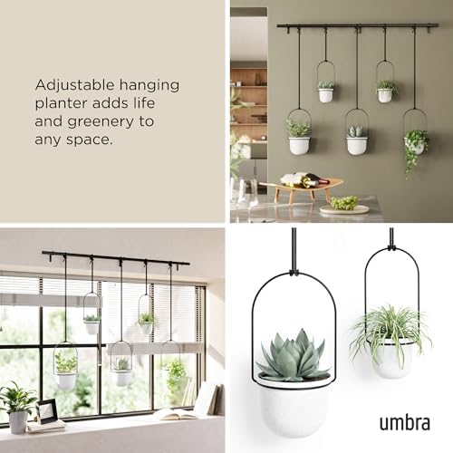Umbra Triflora Hanging Planter, Window Herb Garden, Set of 5, White/Black