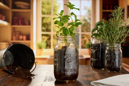 Ball Wide Mouth Glass Mason Jars