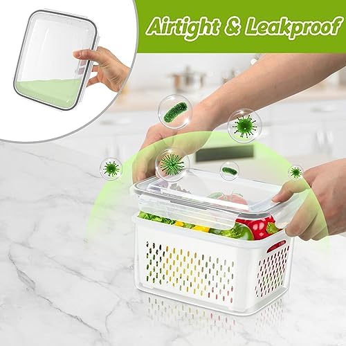 6 Pieces Large Fruit Produce Storage Containers for Fridge Keep Fresh