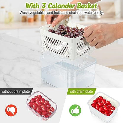 6 Pieces Large Fruit Produce Storage Containers for Fridge Keep Fresh