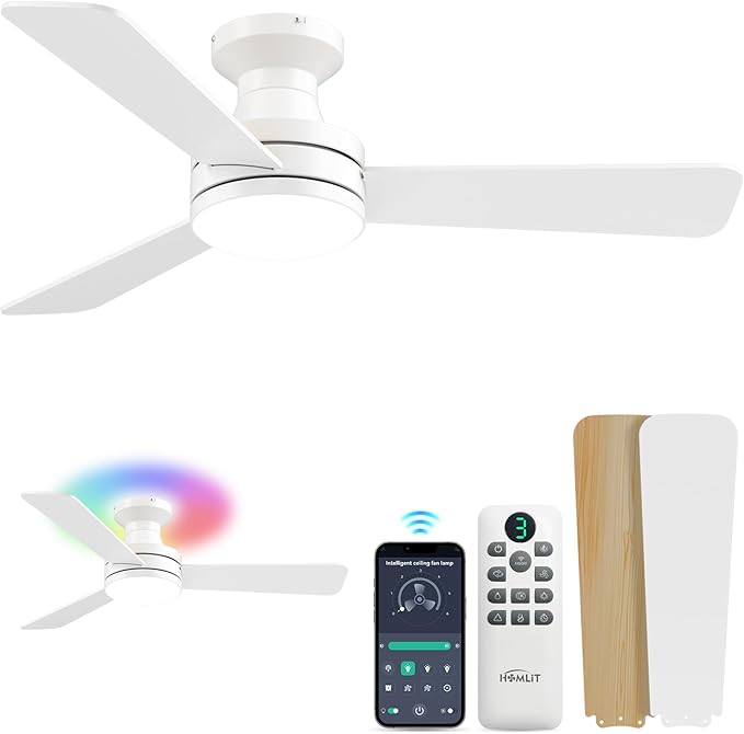 Homlit 42 inch RGB Ceiling Fan