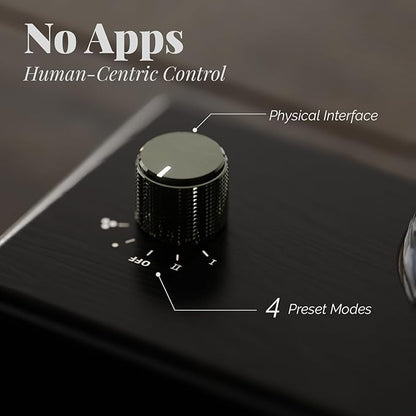 Black Obsidian Glass Essential Oil Diffuser