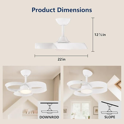 FANX 22 Inch Ceiling Fan with Light and Remote, Quiet DC Motor, Dimmable LED