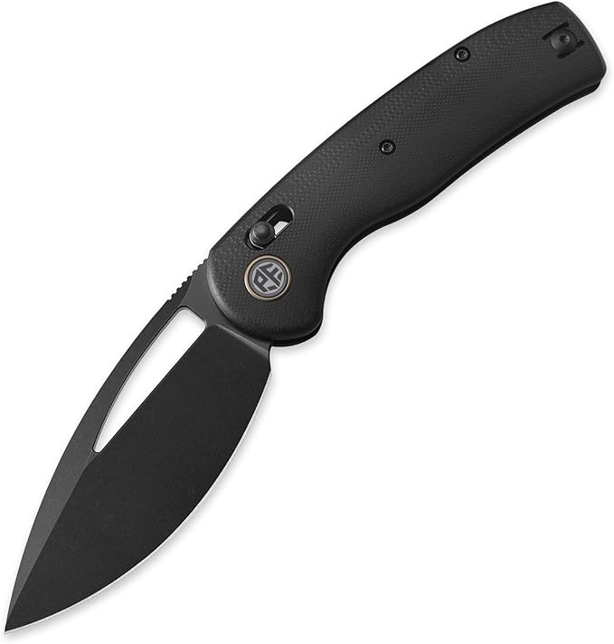 Petrified fish PFP13 Viper Folding Knife,3.5" K110 Steel Black Stonewashed Blade G10 Handle Pocket Knife for Camping EDC Outdoor (Black Black Stonewashed)