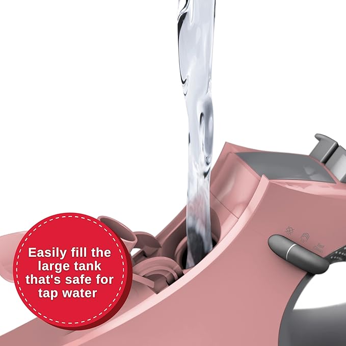 SINGER SteamCraft Steam Iron | Steamer