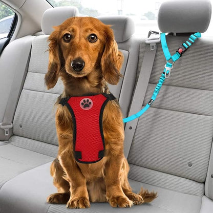 Lukovee Dog Car Seat Belt, 2 Pack Headrest Restraint Seatbelt, Adjustable Pet Safety Leads with Reflective Elastic Bungee for Dog Harness Collar Travel Daily Use (Tiffany Blue,Headrest+Clip)