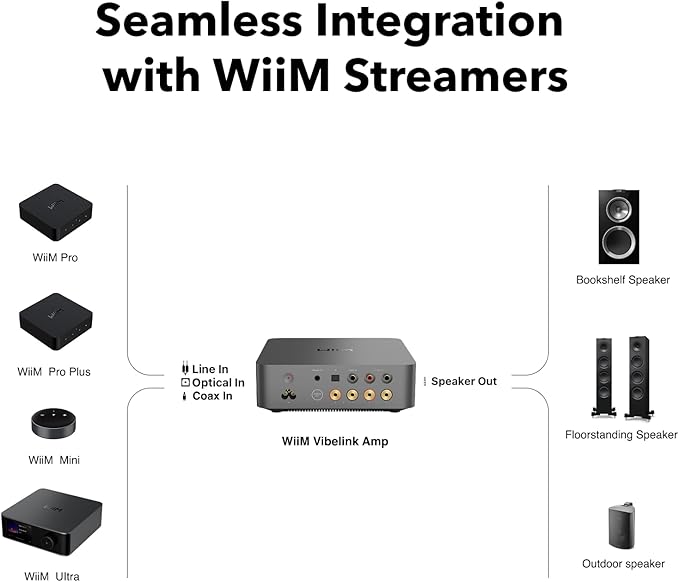 WiiM Vibelink Amp | 100W Power Amplifier