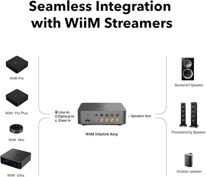WiiM Vibelink Amp | 100W Power Amplifier