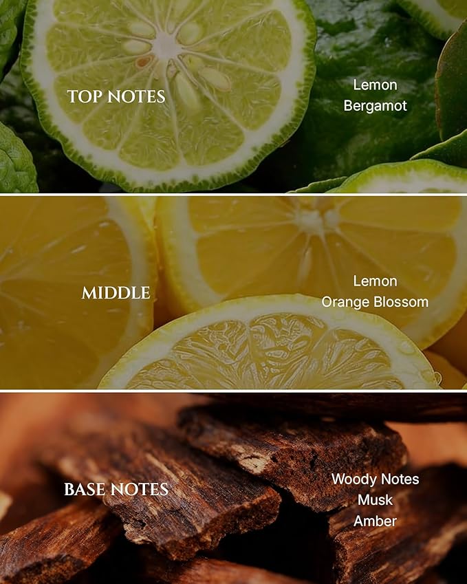 Citrus Hotel Diffuser Oil Inspired by Luxury Hotel Scent, Essential Oils