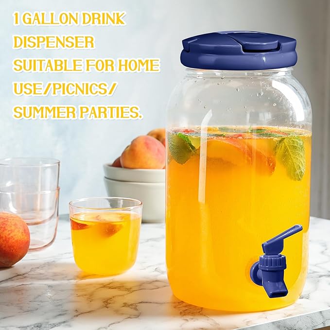 Havawish 2 Pcs 1 Gallon Plastic Beverage Dispenser