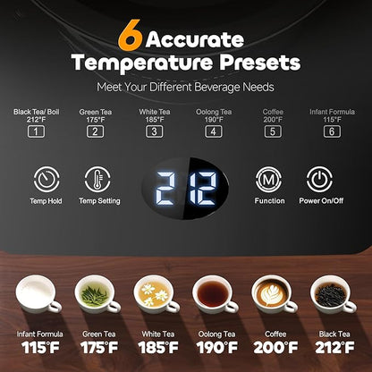 Electric Tea Kettle with Infuser Temperature Control and Automatic Shut Off 24