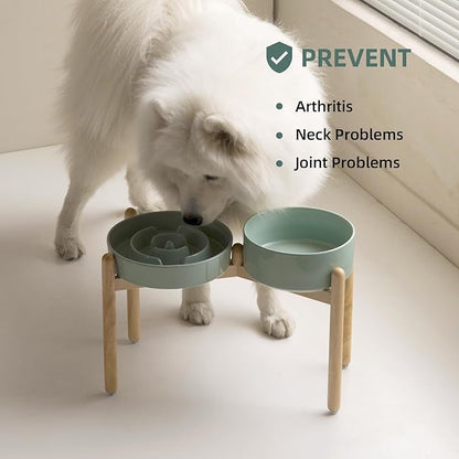 3.2 Cup Ceramic Raised Slow Feeder Dog Bowl Set, Elevated 8.2inch Bowl and