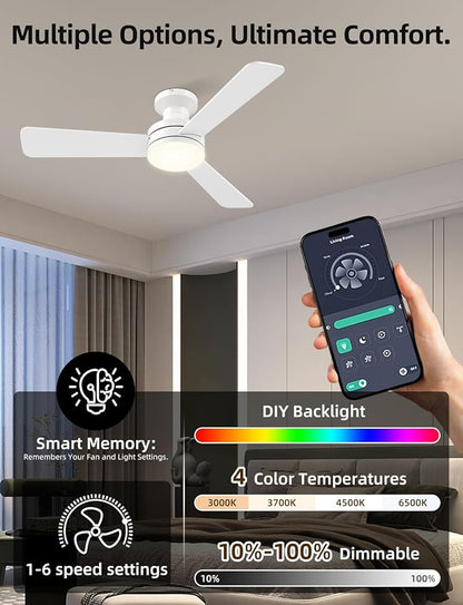 Homlit 42 inch RGB Ceiling Fan