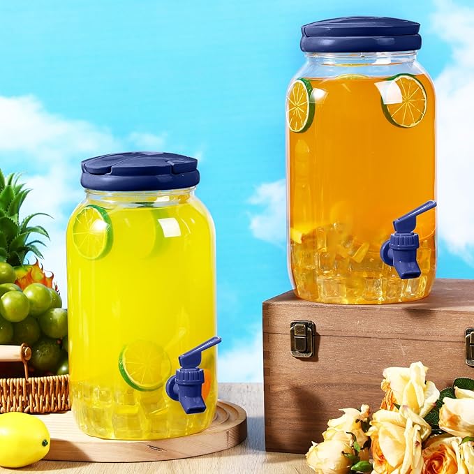 Havawish 2 Pcs 1 Gallon Plastic Beverage Dispenser