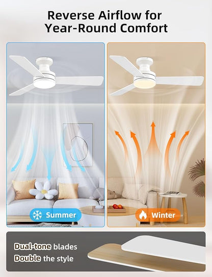 Homlit 42 inch RGB Ceiling Fan