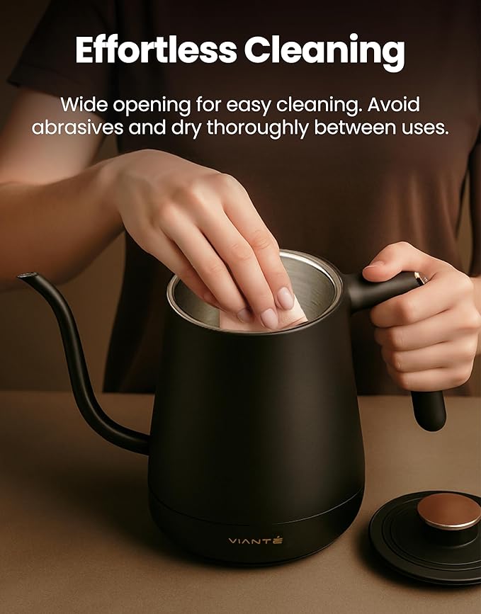 Vianté Electric Gooseneck Kettle