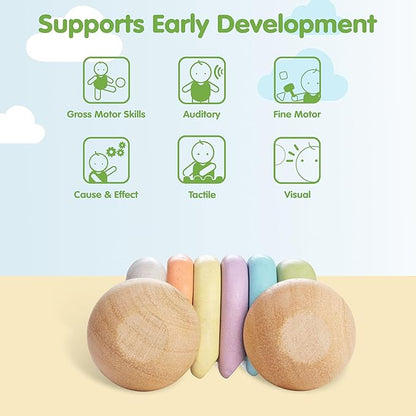 PlanToys® Wooden Baby Push Toy Car | Montessori Toy for Infants | Wooden Baby Toy with Flexible Body | Sensory & Motor Skill Development Toy for 6+ Months