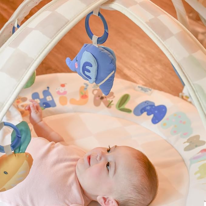 Baby Play Gym & Activity Mat with Light-up Musical Arch, Tummy Time Mat with 6 Detachable Sensory Toys for Motor Skills & Sensory Development, Baby Essentials Shower Gift - ABC123