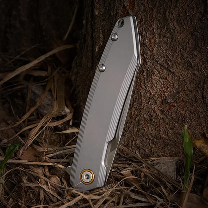 Ruike P831 Folding Tactical Knife with Clip Survival Pocket Knife Tactical EDC Tool Liner Lock 14C28N Steel Camping Knives 3.35inch Small Utility Knife Men Women Blet plus small Multi tool Key