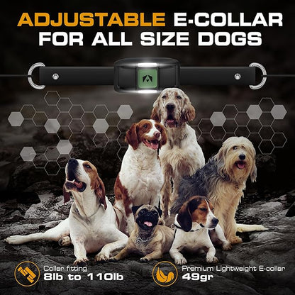 INVIROX Training Collar for Large Dog X2 124 Levels