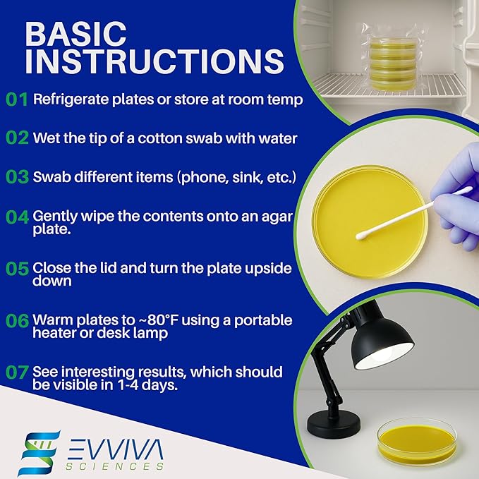 Evviva Sciences Nutrient Agar Petri Dishes Science Project Kit, Pre-Poured Agar Plates for Science Experiments, with Experiment eBook (Yellow)
