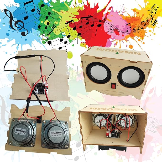 Craft Kit Speaker Circuits - Speaker Electronic Engineering Toys,Build Speaker Kit,DIY Bluetooth Speaker Kit Build Personalized Wood Case Speaker Set,Learning STEM Gifts Science for Teens