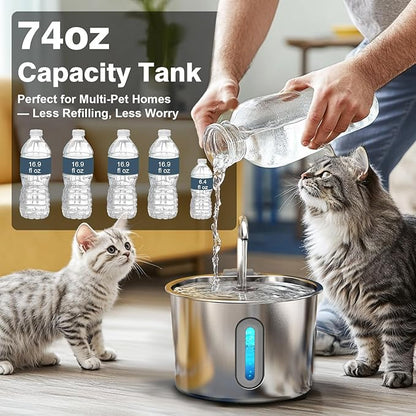 Cat Water Fountain, 74oz/2.2L Cat Fountain