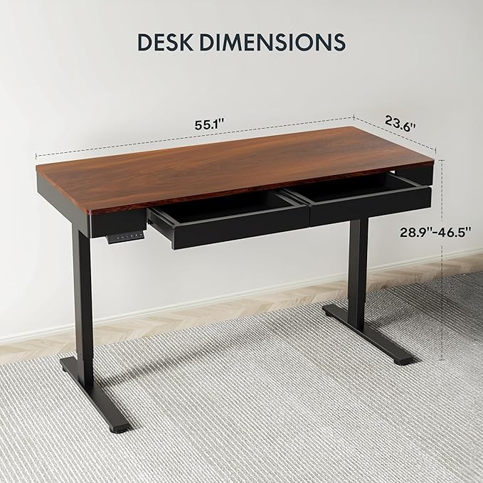FLEXISPOT Q5 Standing Desk