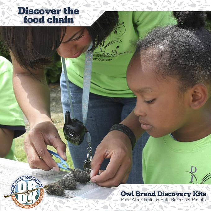 OBDK Barn Owl Pellets for Dissection - 1 Pack Small Sized (1.0-1.5") with Tools, Guide and Charts from Owl Brand Discovery Kits