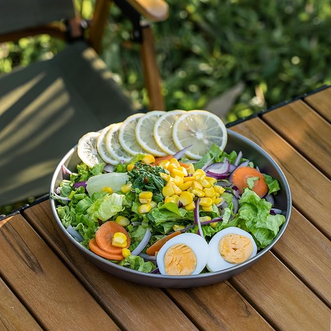 Boundless Voyage Titanium Camping Plate Dishes Saucer Lightweight Round Dinnerware Set Stackable Serving Plates Pasta Plates Travel Outdoor Home Kitchen Tableware Set Ti1120T