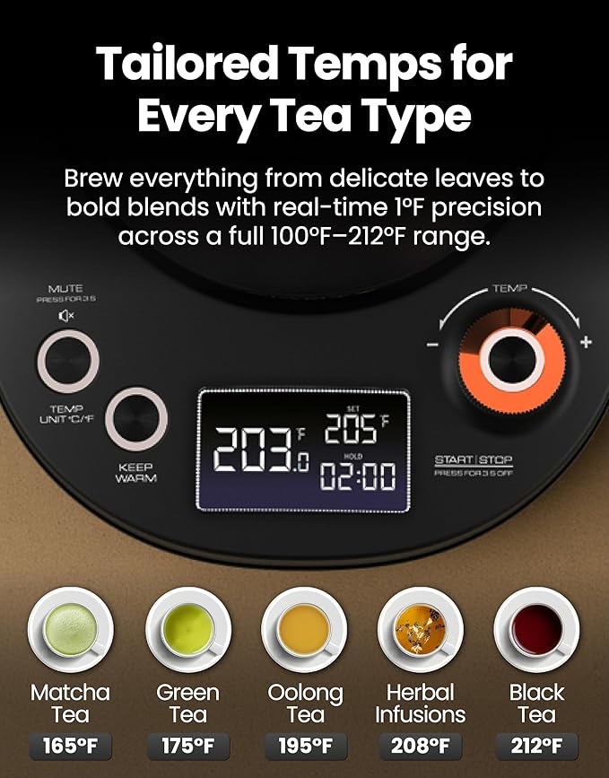 Vianté Electric Gooseneck Kettle