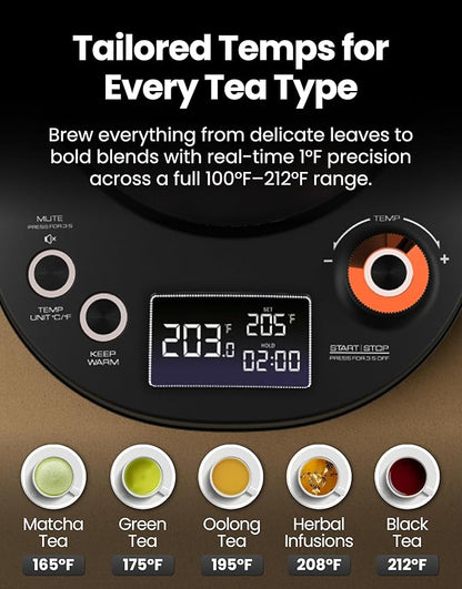 Vianté Electric Gooseneck Kettle