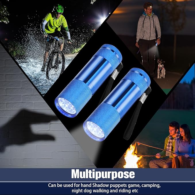 VIHOSE 20 Pcs Mini Flashlights Bulk, Bright Aluminum Handheld Flash Light with Lanyard Small LED Flashlights for Night Reading Emergency Hurricane Camping Hiking, Batteries Not Included(Blue)