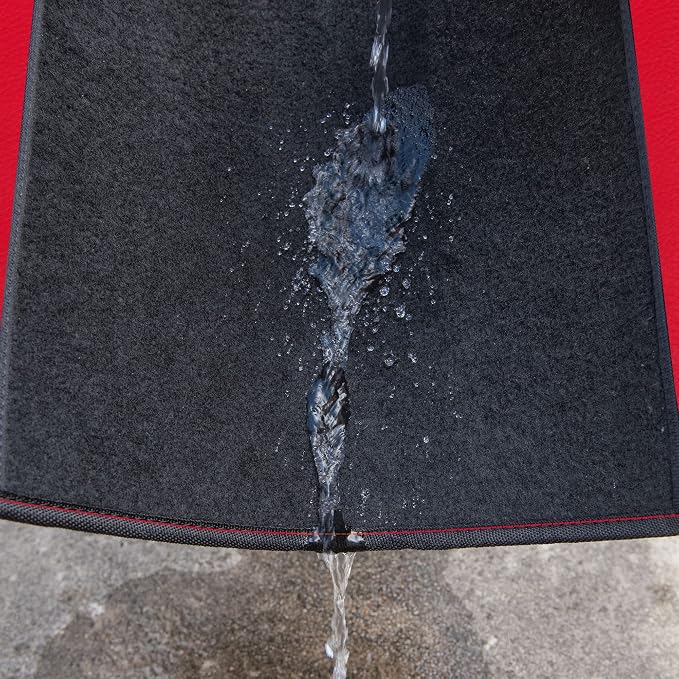 CAR PASS Rainbow Waterproof Universal Fit Faux Leather Car Carpet- Anti-Slip Nibbed Backing Floor Mats for SUV, Vans,Sedans,Trucks, Automotive Set of 4 for Women (Black with Red)
